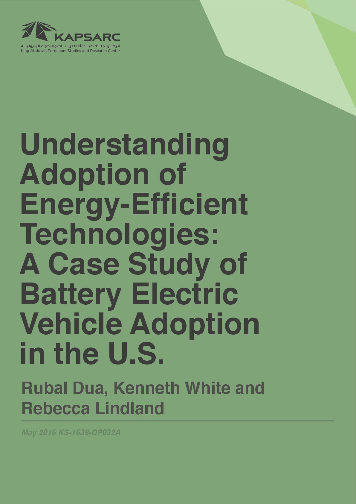 Understanding Adoption of EnergyEfficient Technologies A Case Study