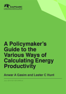 Policymakers Guide to the Various Ways of Calculating Energy Productivity