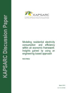 Modeling residential electricity consumption and efficiency within an economic framework