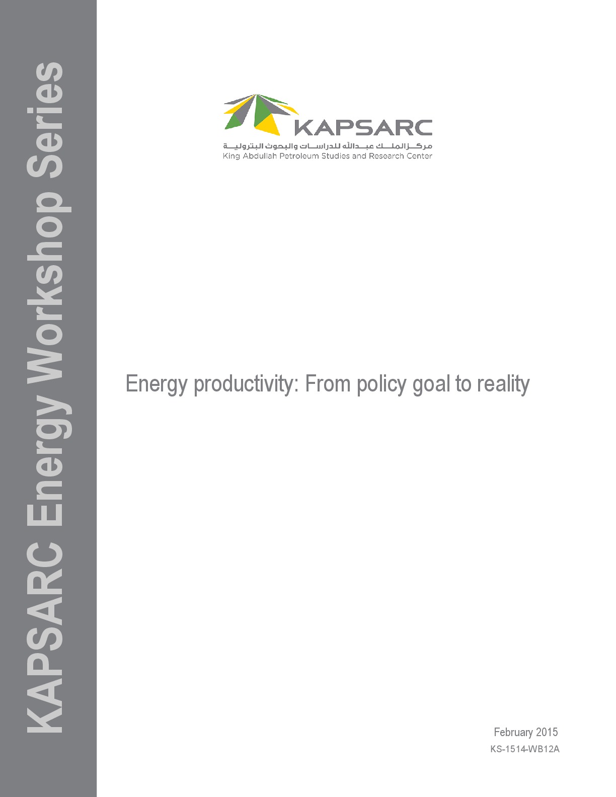 Energy productivity: From policy goal to reality