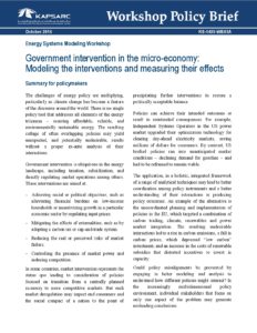 Government intervention in the micro-economy: Modeling the interventions