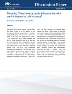 Managing China’s energy productivity potential: what lessons for policy makers