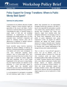 Policy Support for Energy Transitions: Where is Public Money Best Spent?