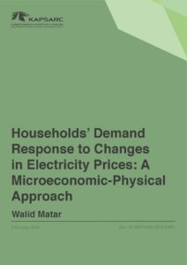 Households’ Demand Response to Changes in Electricity Prices: A Microeconomic-Physical Approach