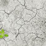 Water Scarcity and Desalination in the GCC