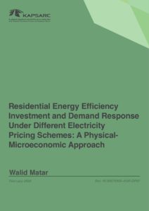 Residential Energy Efficiency Investment and Demand Response Under Different Electricity Pricing Schemes: A Physical- Microeconomic Approach