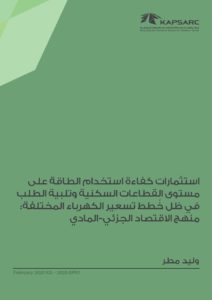 استثمارات كفاءة استخدام الطاقة على مستوى القطاعات السكنية وتلبية الطلب في ظل خُطط تسعير الكهرباء المختلفة: منهج الاقتصاد الجزئي-المادي