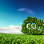 The Climate Adaptation and Mitigation Partnership (CAMP)