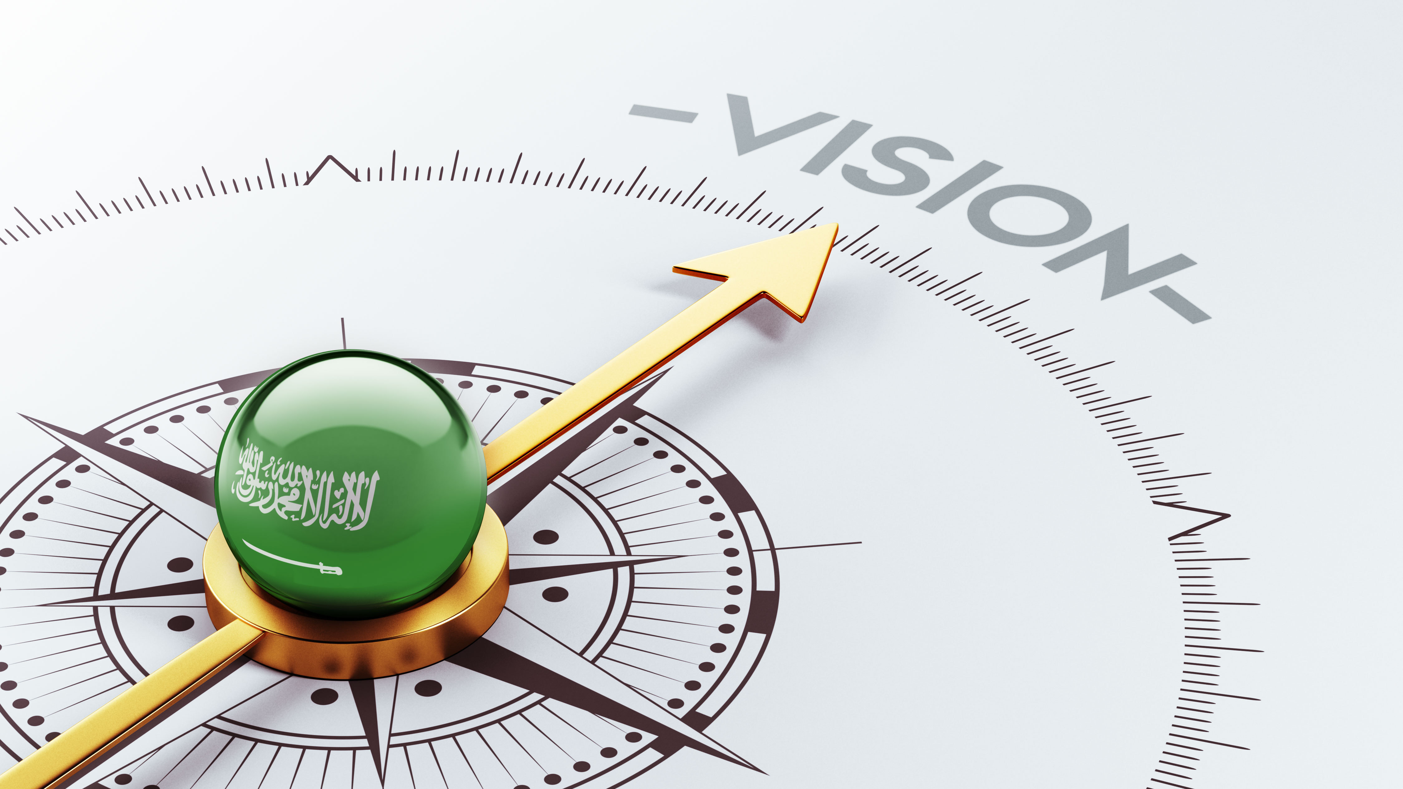 Vision 2030 Dynamic Input-Output Table
