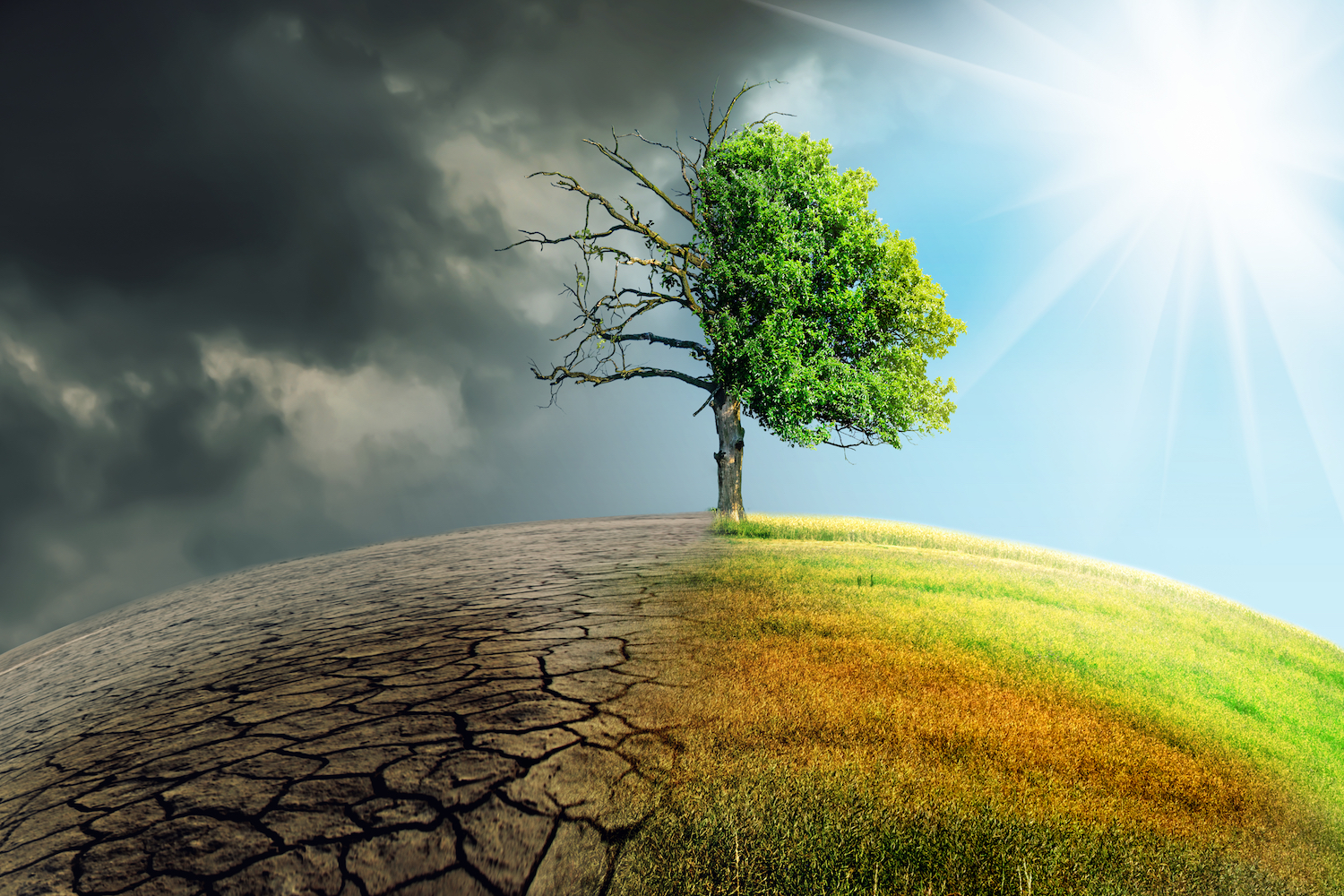 Shaping the Global Governance of Energy and Climate Change: A Supply-side Perspective