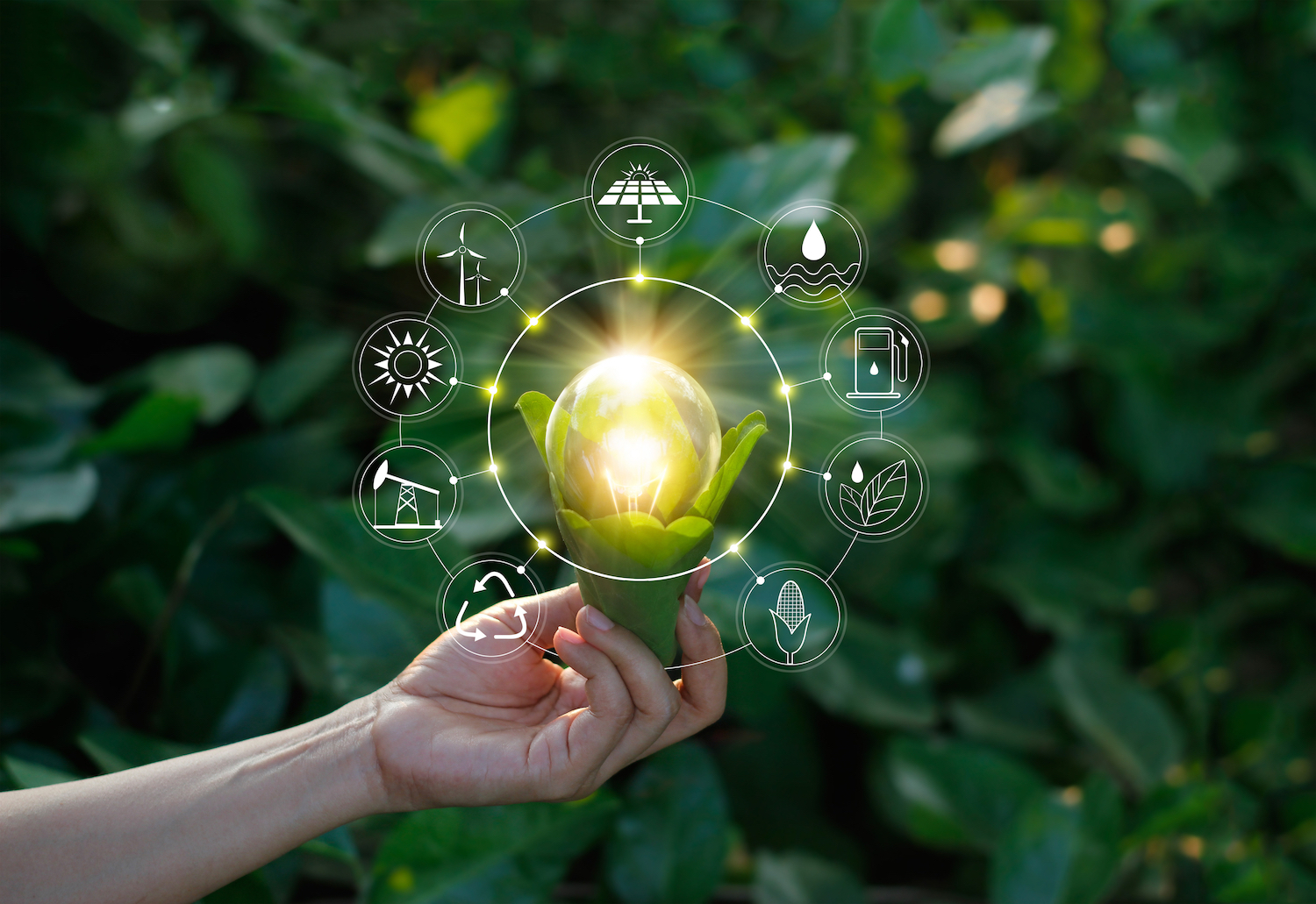 Dynamics of Energy Transitions and the Role of Sustainable Finance