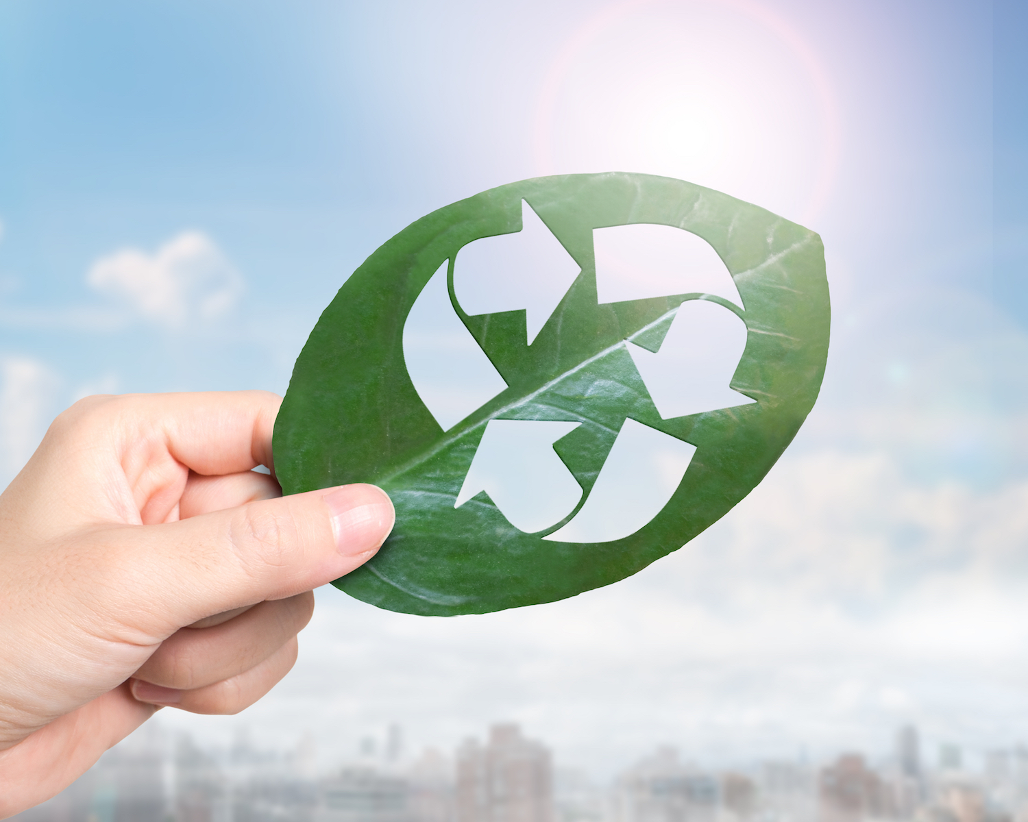 Digital Carbon Accounting & Governance