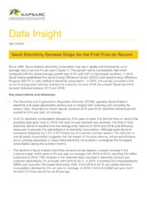 Saudi Electricity Demand Drops for the First Time on Record