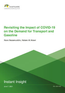 Revisiting the Impact of COVID-19 on the Demand for Transport and Gasoline