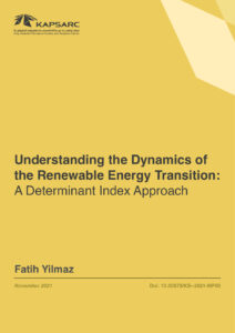 Understanding the Dynamics of the Renewable Energy Transition: A Determinant Index Approach