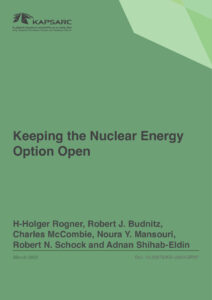 Keeping the Nuclear Energy Option Open