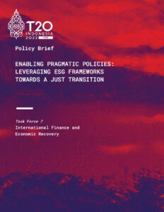 Enabling Pragmatic Policies: Leveraging ESG Frameworks Towards a Just Transition