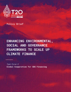 Enhancing Environmental, Social and Governance Frameworks To Scale Up Climate Finance