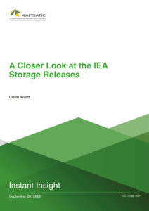 A Closer Look at the IEA Storage Releases