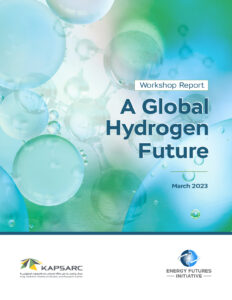 A Global Hydrogen Future