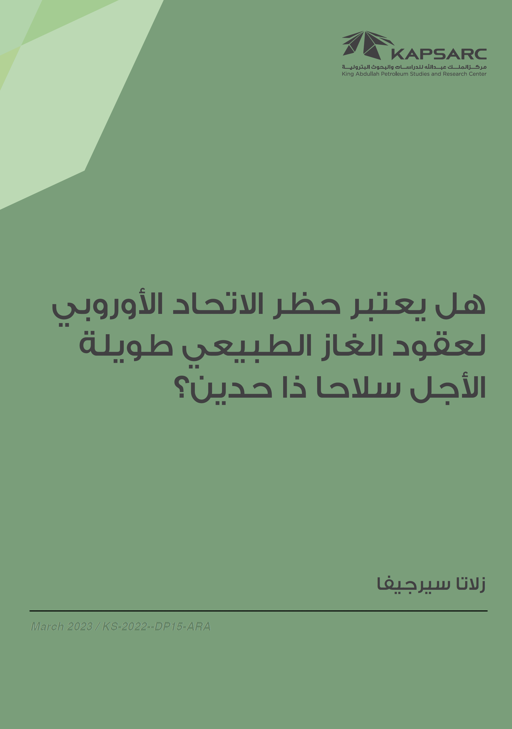 هل يعتبر حظر الاتحاد الأوروبي لعقود الغاز الطبيعي طويلة الأجل سلاحا ذا حدين؟