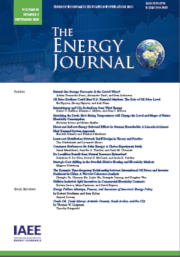Decarbonizing the Residential Sector: How Prominent is Household Energy-Saving Behavior in Decision Making?