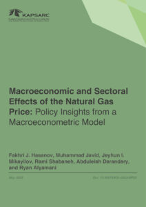 Macroeconomic and Sectoral Effects of the Natural Gas Price: Policy Insights from a Macroeconometric Model