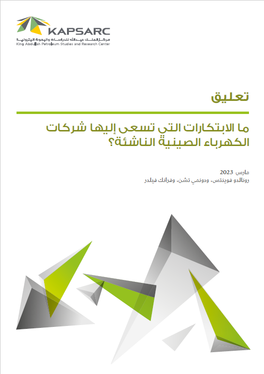 ما الابتكارات التي تسعى إليها شركات الكهرباء الصينية الناشئة؟