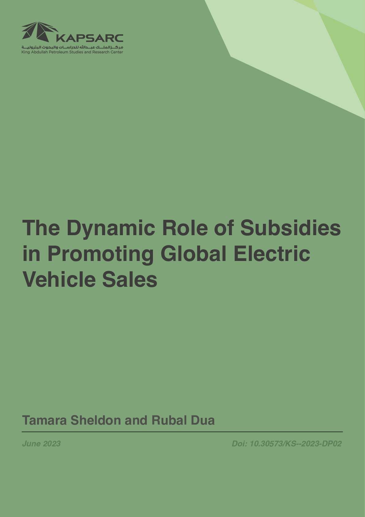 The Dynamic Role of Subsidies in Promoting Global Electric Vehicle Sales