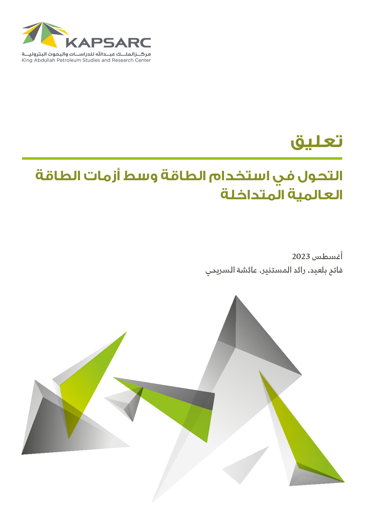 التحول في استخدام الطاقة وسط أزمات الطاقة العالمية المتداخلة