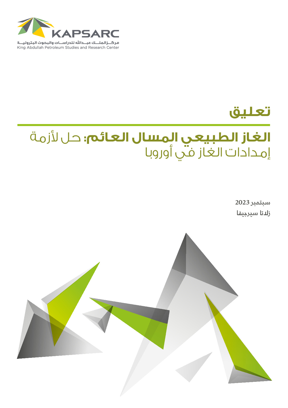 حل ألزمة الغاز الطبيعي المسال العائم: إمدادات الغاز في أوروبا